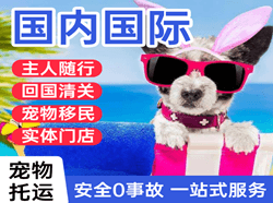 丽江航空托运国际宠物托运 【国